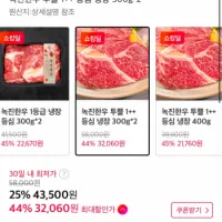 녹진한우 투쁠 1++ 등심 냉장 300g 2개