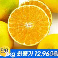 한입제주 하우스 황금향 1.5kg 실속형 / 2.5kg 초특가 / 추석 전 발송