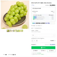 완숙 샤인머스켓 2kg(3송이)