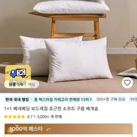 베네베딩 1+1 베개솜, 쿨링 베개패드