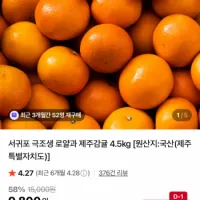 제주 서귀포 극조생 감귤 4.5kg