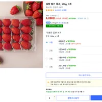 설향 딸기 대과 500g, 1팩