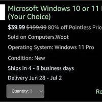 Microsoft Windows 10 or 11 Pro