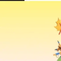 10월 초이스데이 특별할인코드 정리