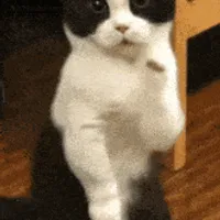 블랙프라이데이 삼성 모니터 S27D700 외 1건