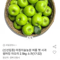 썸머킹 아오리 햇 사과 가정용 2.5kg 소과 17-22과