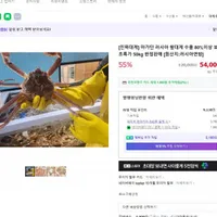 러시아 마가단 대게 2kg