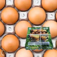 동물복지 난각번호 2번 유정란 60구