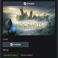 (steam) 호그와트 레거시
