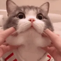 삼성 4K 신모델 S27D700 역대가