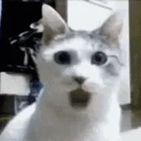 타임딜 50대 한정 수량 S27CG510 특가 안내