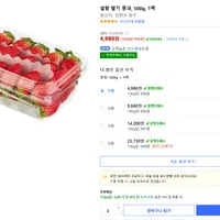 설향 딸기 중과 500g, 1팩 외 1