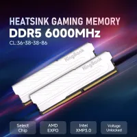 킹뱅크 DDR5 32G(16X2)외 3종