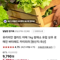 유러피언 샐러드 채소 1kg