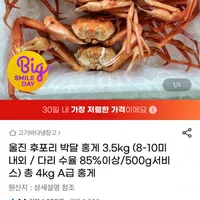 울진 후포리 홍게 자숙 A급 4kg