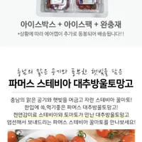 스테비아 토마토 토망고 대추방울토마토 500g 2팩