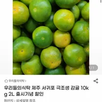 제주 서귀포 극조생 감귤 10kg