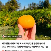 제주 감귤 서귀포 고당도 노지 조생감귤 꼬마과 3kg