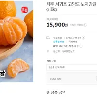 제주 서귀포 고당도 노지감귤 10kg