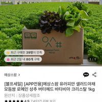 유러피안 샐러드 3종 1kg