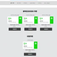 블랙프라이데이 선착순 쿠폰