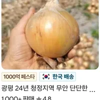 무안 양파 (소, 미니 혼합) 3kg