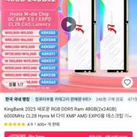 킹뱅크 DDR5 48G 6000MHz CL28 RGB