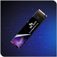 래플쇼핑 [SK hynix] Platinum P41 M.2 NVMe 2280 [1TB T...