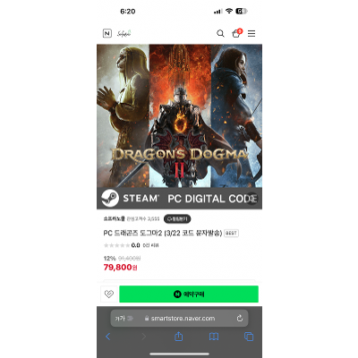 드래곤즈 도그마2 스팀판