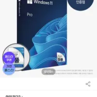 Windows 11 Pro 윈도우11프로 (FPP/한글/USB)