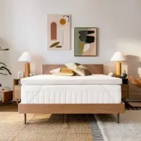 Tempur-Pedic TEMPUR Supreme Topper, Twin XL (, 타임딜)