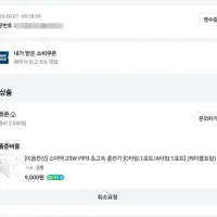 스마텍 25W PPS 초고속 충전기