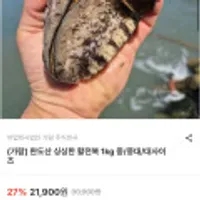 완도산 싱싱한 활전복 1kg 대전복 8-9미