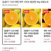 제주 서귀포 황금향 4kg 로얄소과