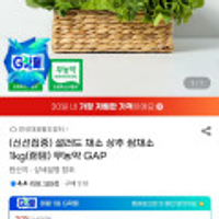 샐러드 채소 상추 쌈채소 1kg