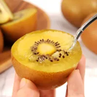 전남 보성 골드키위 2kg