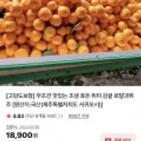 고당도 효돈 위미 조생 감귤 5kg