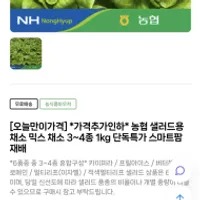 농협 샐러드용 채소 3~4종 1kg
