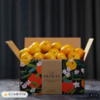 제주 조생 노지감귤 4.5kg 소과