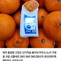 제주 가정용 황금향 3kg