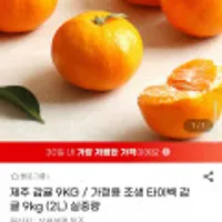 제주 가정용 조생 타이벡 감귤 9kg (2L)