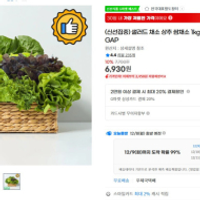 샐러드 채소 상추 쌈채소 1kg(랜덤) 무농약