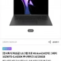 LG 그램 프로 40.6cm(16인치) 그레이 16Z90TS-G.AS50K 루나레이크 16/256GB