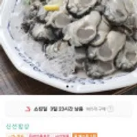 통영 햇 생굴 1kg