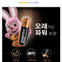 듀라셀 디럭스 AA 10입 골박행사