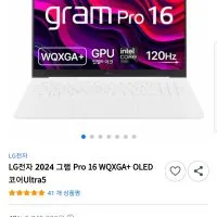 LG전자 2024 그램 Pro 16Z90SP-KA5CK