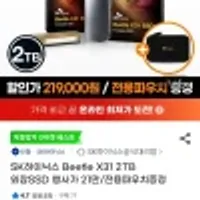 SK하이닉스 Beetle X31 2TB 외장 SSD + 파우치