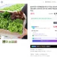 당일수확 산지직송 모듬 쌈채소 유럽 샐러드 유러피언 상추 채소 로메인 케