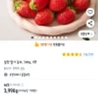 설향 딸기 중과, 500g, 1팩