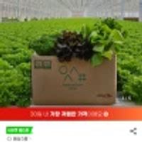 무농약 친환경 유러피안 샐러드야채 모듬쌈채소 1kg